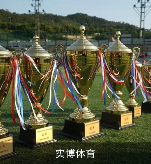 实博体育简介