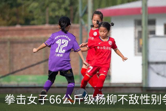 拳击女子66公斤级杨柳不敌性别争议选手摘银